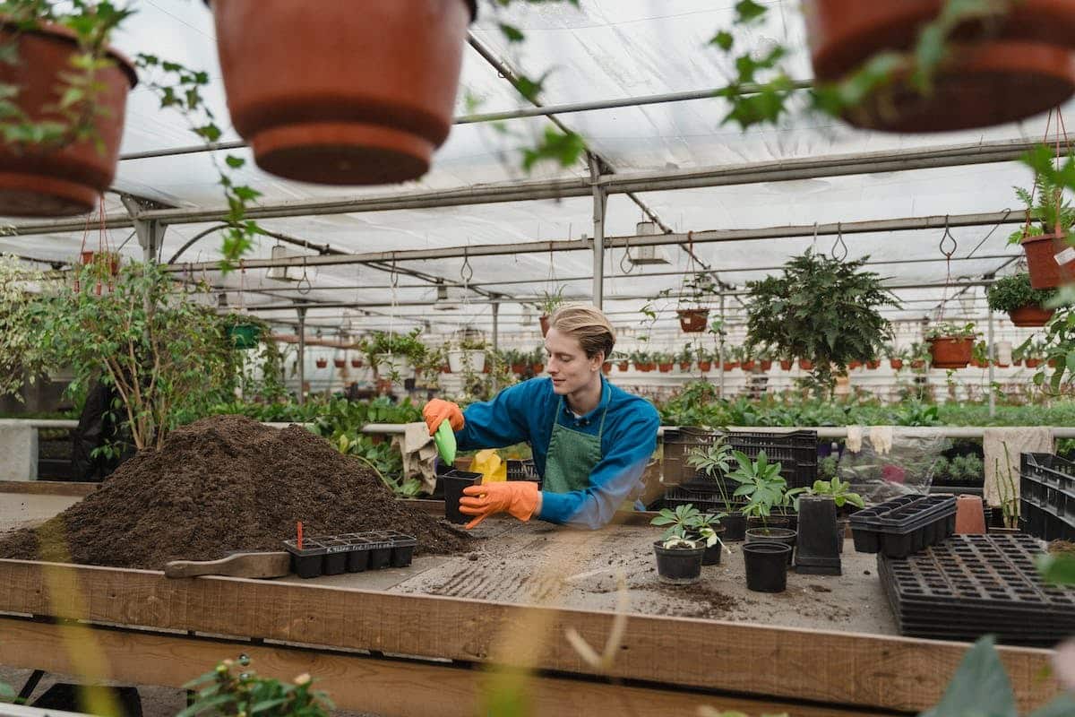 Jardinage Cologique Les Meilleures M Thodes Pour Cultiver Votre