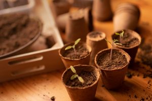 Une mare pour enrichir votre potager bio facilement